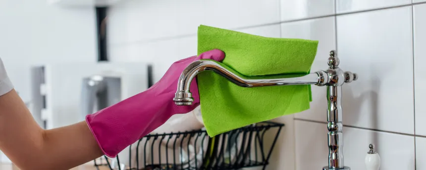Prestation de ménage, repassage à domicile par Purity