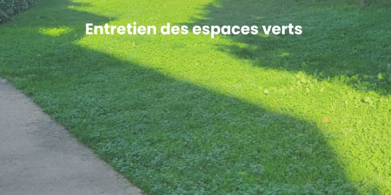 Photo-1-apres-entretien-espaces-verts-copropriete-par-purity-lyon