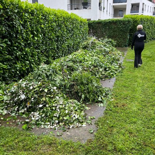 Photo-1-avant-entretien-espaces-verts-copropriete-par-purity-corp