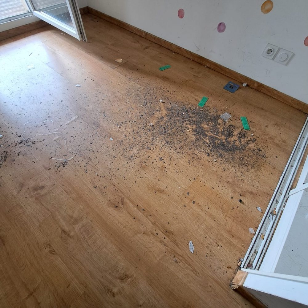 Photo 2 avant le nettoyage d'un logement squatté par purity