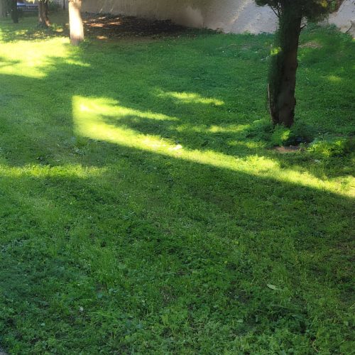 Photo-3-apres-entretien-espaces-verts-copropriete-par-purity-lyon