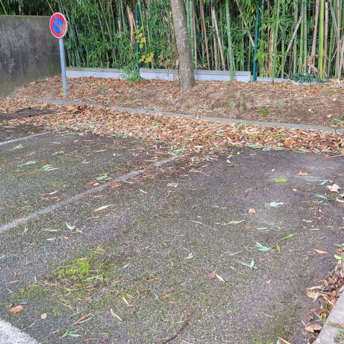 Photo-3-avant-entretien-espaces-verts-copropriete-par-purity-corp