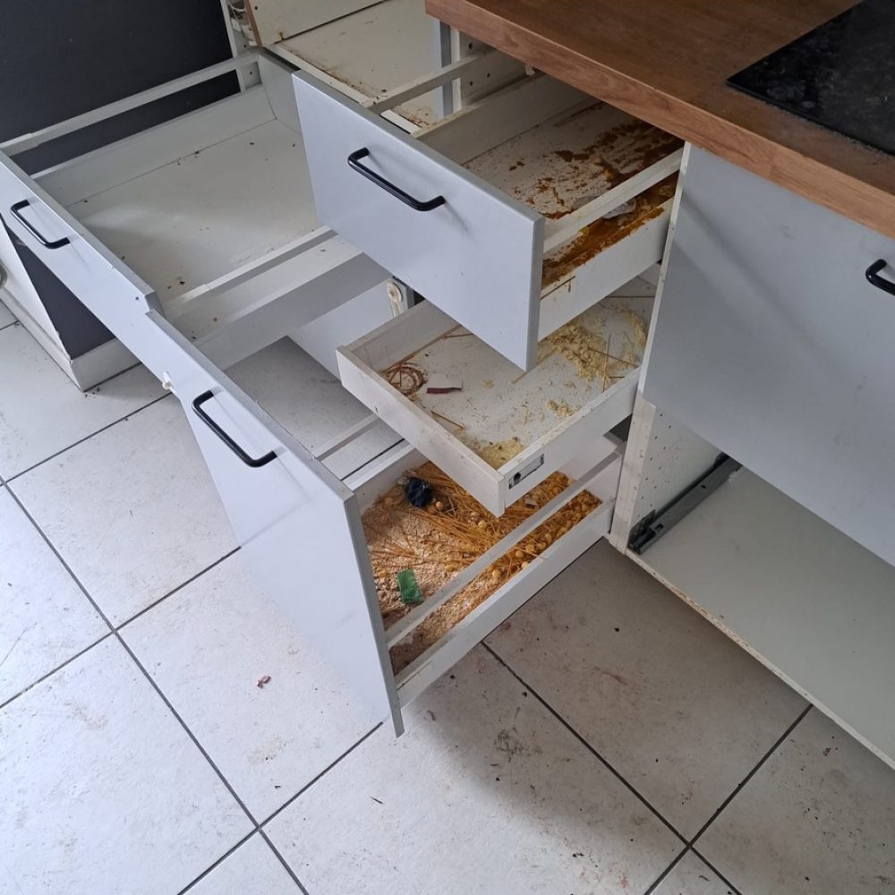 Photo 3 avant le nettoyage d'un logement squatté par purity