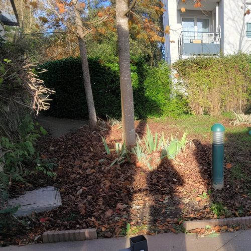 Photo-4-apres-entretien-espaces-verts-copropriete-par-purity-lyon