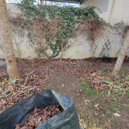 Photo-4-avant-entretien-espaces-verts-copropriete-par-purity-corp