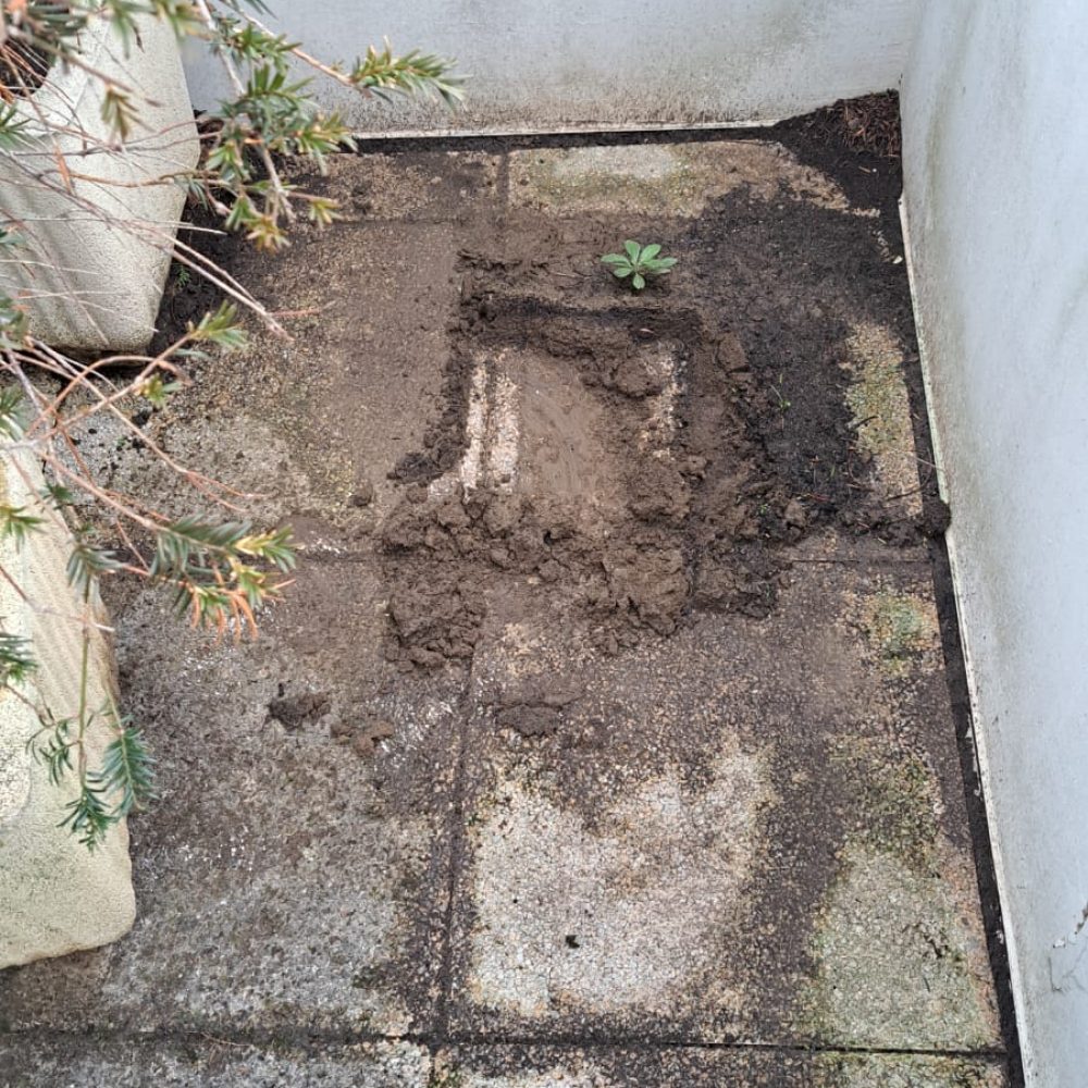 Photo-4-avant-nettoyage-terrasse-par-purity