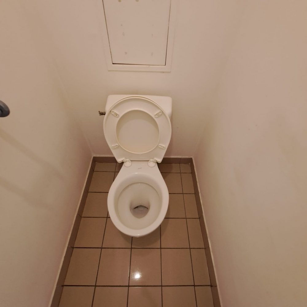 Photo-5-apres-nettoyage-diogene-par-purity.