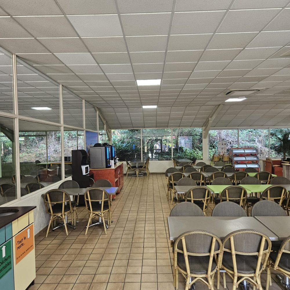 Photo 5 après la remise en état complète du chantier du Zoo de Peaugres par Purity
