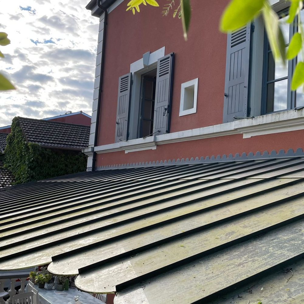 avant-photo1-nettoyage-verriere-maison-lyon-purity