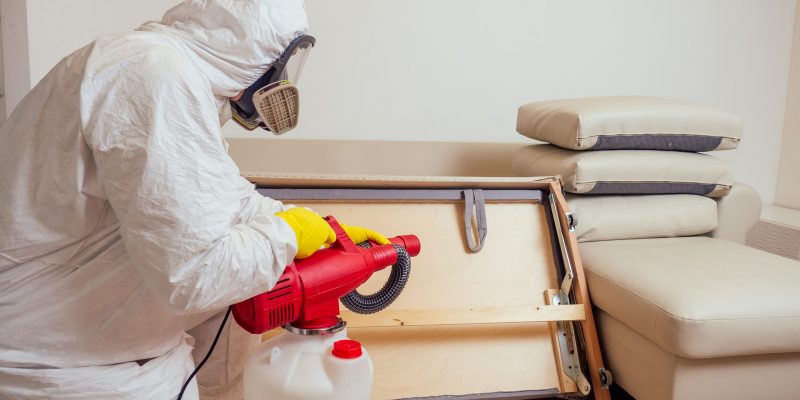 pest control worker in uniform spraying pesticides under couch in living lounge room.