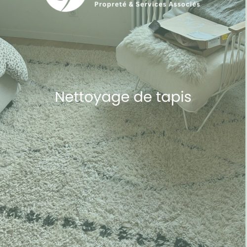 photo-1-nettoyage-tapis-sale-par-purity-corp