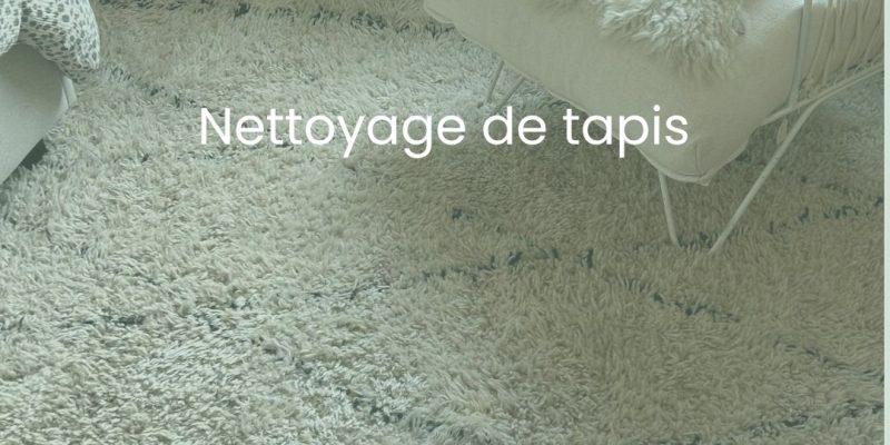 photo-1-nettoyage-tapis-sale-par-purity-corp