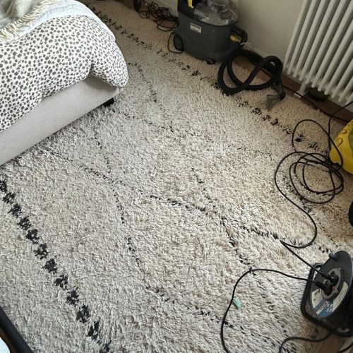 photo-2-nettoyage-tapis-sale-par-purity-corp
