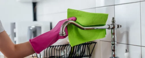 Prestation de ménage, repassage à domicile par Purity